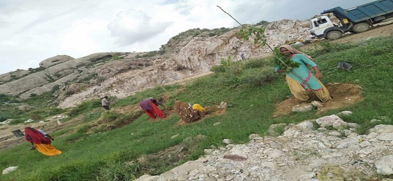 WhatsApp-Image-2020-11-30-at-18.29.36-1-768x354