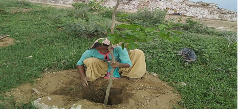 WhatsApp-Image-2020-11-30-at-18.29.39-1-768x354